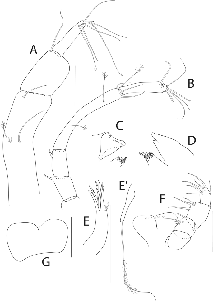 figure 26