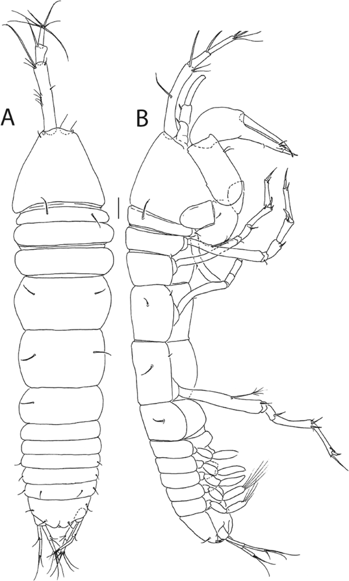 figure 33