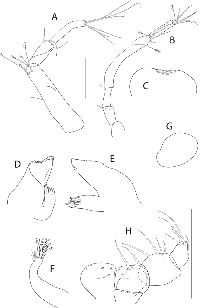 figure 39