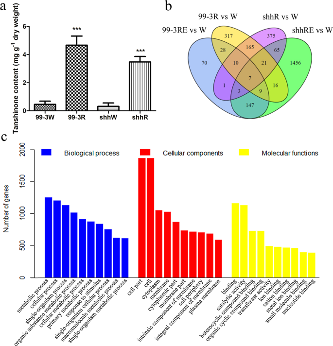 Transcriptomic Analysis Reveals Potential Genes Involved In Tanshinone Biosynthesis In Salvia Miltiorrhiza Scientific Reports Transcriptomic Analysis Reveals Potential Genes Involved In Tanshinone Biosynthesis In Salvia Miltiorrhiza Scientific Reports