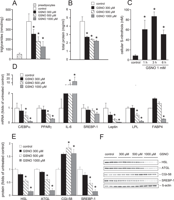 S Nitrosoglutathione Inhibits Adipogenesis In 3t3 L1 Preadipocytes By S Nitrosation Of Ccaat Enhancer Binding Protein B Scientific Reports