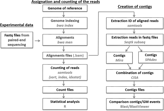 genetically modified soybean research paper figure 2