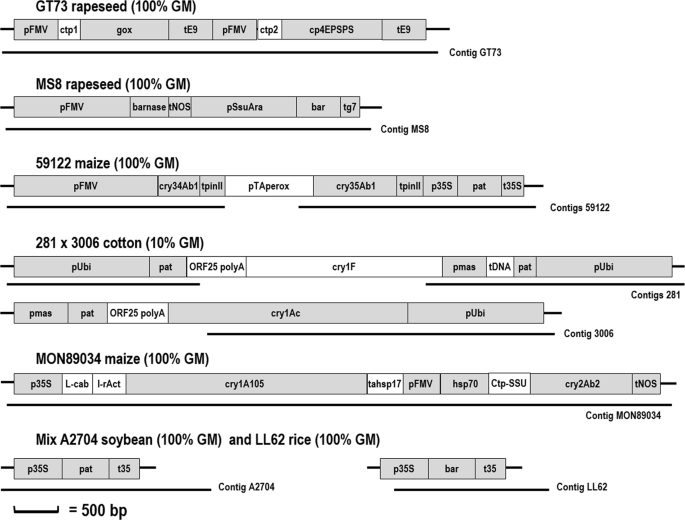 genetically modified soybean research paper figure 3