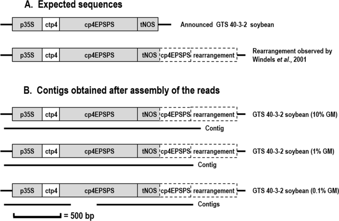 genetically modified soybean research paper figure 4