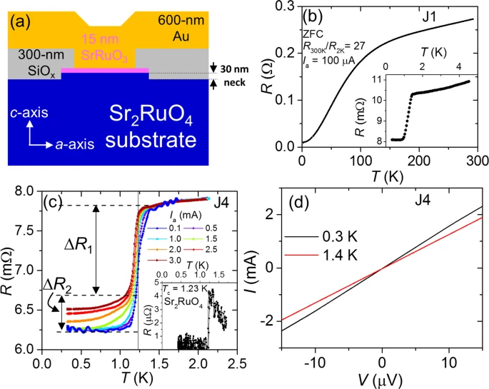 Anomalous anisotropic behaviour of spin-triplet proximity effect in Au/SrRuO3/Sr2RuO4 junctions