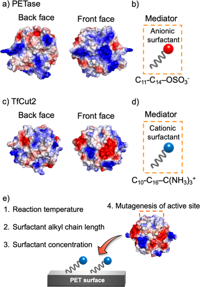 Efficient Degradation Of Poly Ethylene Terephthalate With Thermobifida Fusca Cutinase Exhibiting Improved Catalytic Activity Generated Using Mutagenesis And Additive Based Approaches Scientific Reports Efficient Degradation Of Poly Ethylene Terephthalate With Thermobifida Fusca Cutinase Exhibiting Improved Catalytic Activity Generated Using Mutagenesis And Additive Based Approaches Scientific Reports
