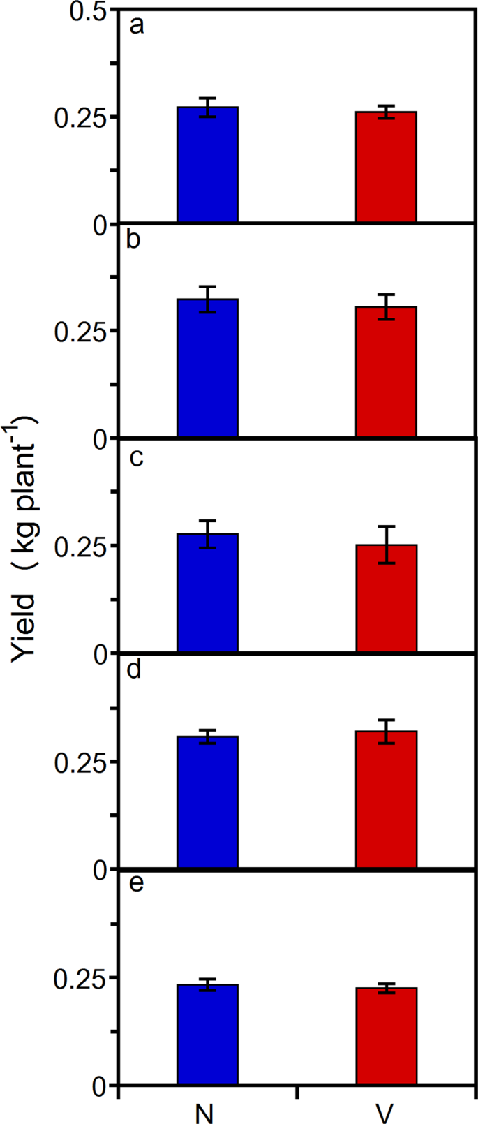 Disentangling Photoperiod From Hop Vernalization And Dormancy For Global Production And Speed Breeding Scientific Reports Disentangling Photoperiod From Hop Vernalization And Dormancy For Global Production And Speed Breeding Scientific Reports