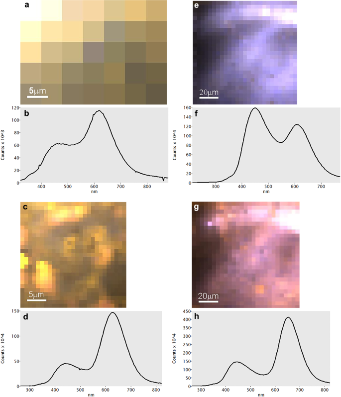 Luminescence Reveals Variations In Local Structural Order Of Calcium Carbonate Polymorphs Formed By Different Mechanisms Scientific Reports