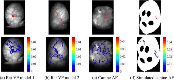 Standardised Framework For Quantitative Analysis Of Fibrillation Dynamics Scientific Reports Standardised Framework For Quantitative Analysis Of Fibrillation Dynamics Scientific Reports