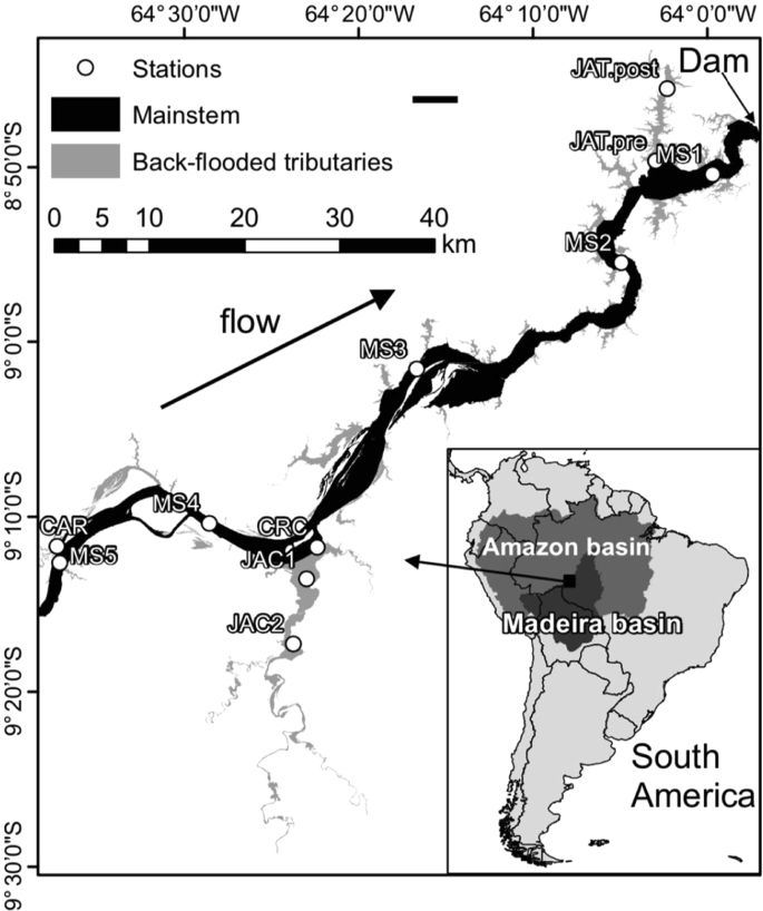 Limnological Effects Of A Large Amazonian Run Of River Dam On The Main River And Drowned Tributary Valleys Scientific Reports Limnological Effects Of A Large Amazonian Run Of River Dam On The Main River And Drowned Tributary Valleys Scientific Reports