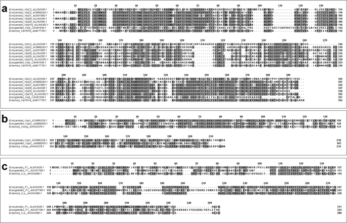 Immunoproteomic Analysis Of Borrelia Miyamotoi For The Identification Of Serodiagnostic Antigens Scientific Reports
