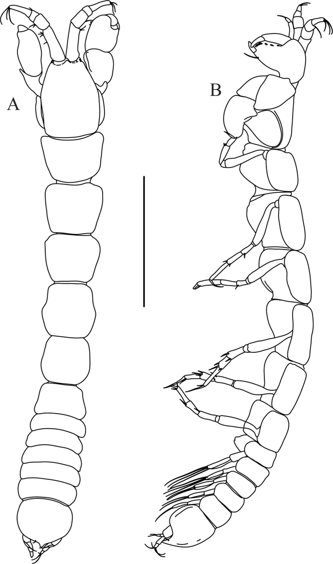 figure 43