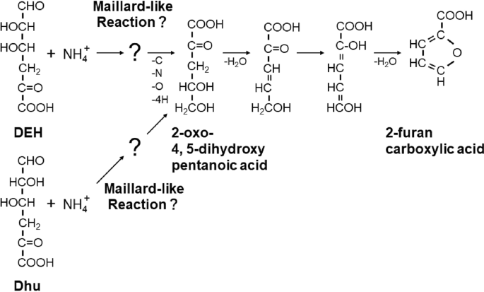 Uncovering The Reactive Nature Of 4 Deoxy L Erythro 5 Hexoseulose Uronate For The Utilization Of Alginate A Promising Marine Biopolymer Scientific Reports