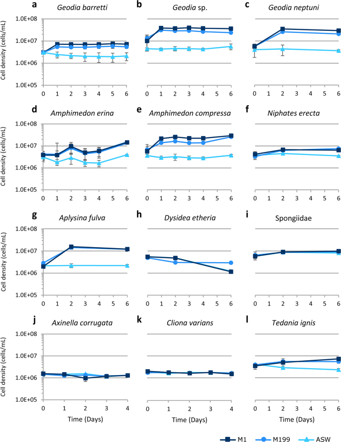 Breakthrough in Marine Invertebrate Cell Culture: Sponge Cells Divide Rapidly in Improved Nutrient Medium | Scientific Reports Breakthrough in Marine Invertebrate Cell Culture: Sponge Cells Divide Rapidly in Improved Nutrient Medium | Scientific Reports