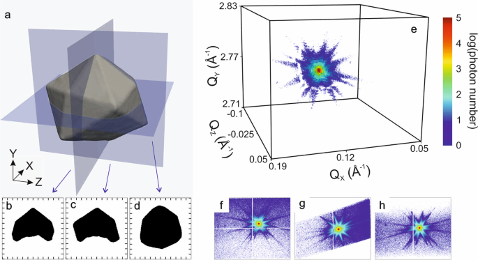 Towards A Quantitative Determination Of Strain In Bragg Coherent X Ray Diffraction Imaging Artefacts And Sign Convention In Reconstructions Scientific Reports