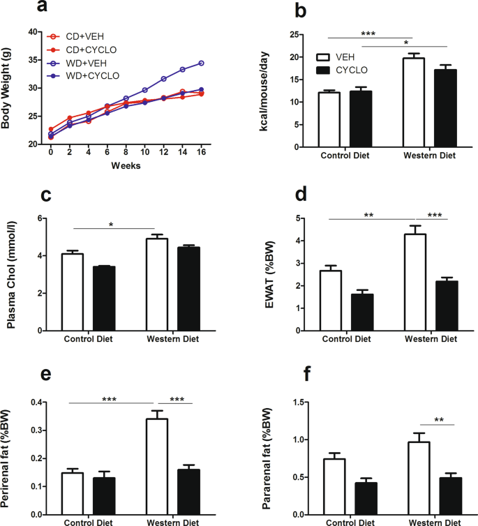 B Cyclodextrin Counteracts Obesity In Western Diet Fed Mice But Elicits A Nephrotoxic Effect Scientific Reports