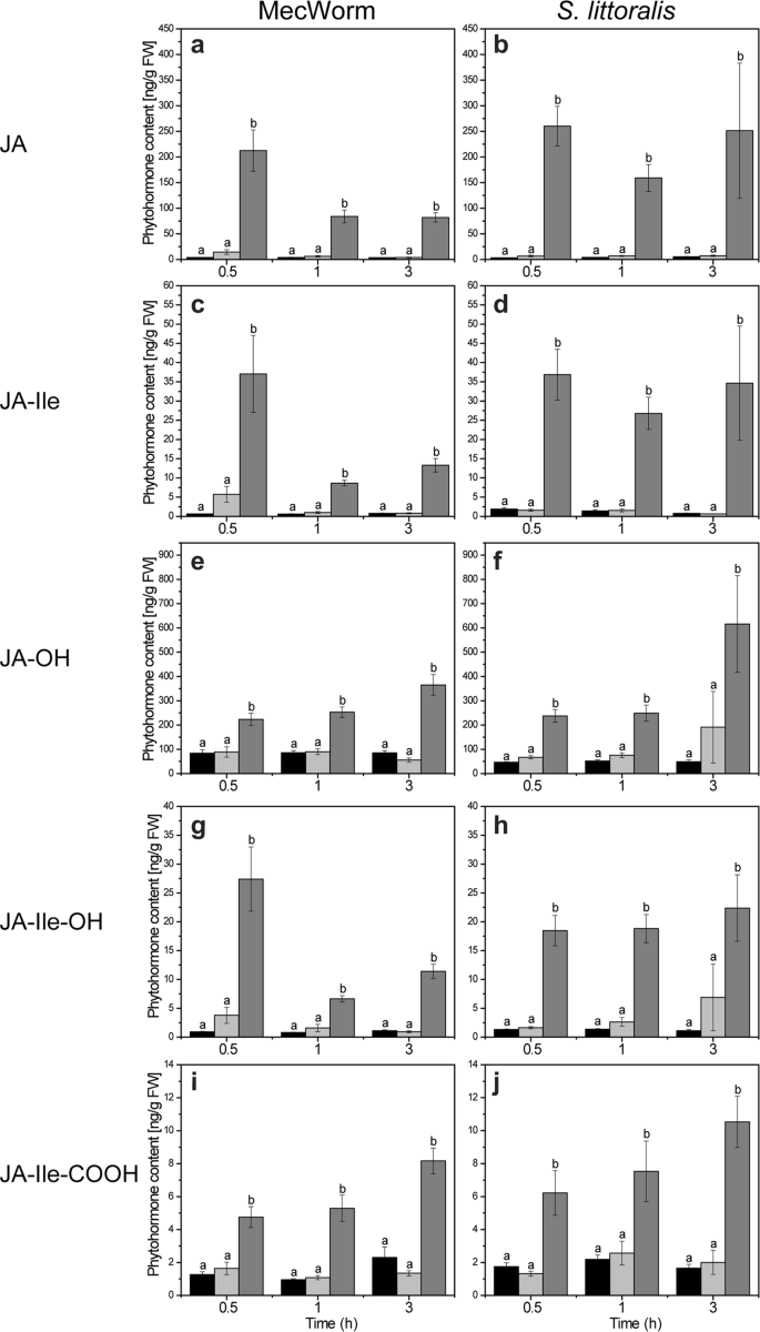 Volatile Dmnt Systemically Induces Jasmonate Independent Direct Anti Herbivore Defense In Leaves Of Sweet Potato Ipomoea Batatas Plants Scientific Reports