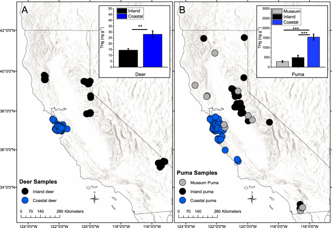 Marine fog inputs appear to increase methylmercury bioaccumulation in a  coastal terrestrial food web | Scientific Reports