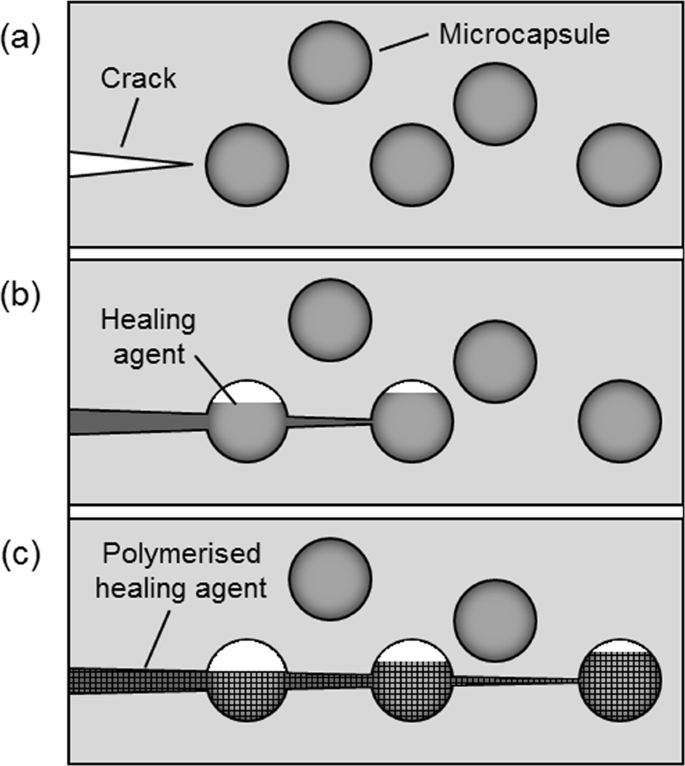 Tracking capsule activation and crack healing in a microcapsule-based  self-healing polymer | Scientific Reports