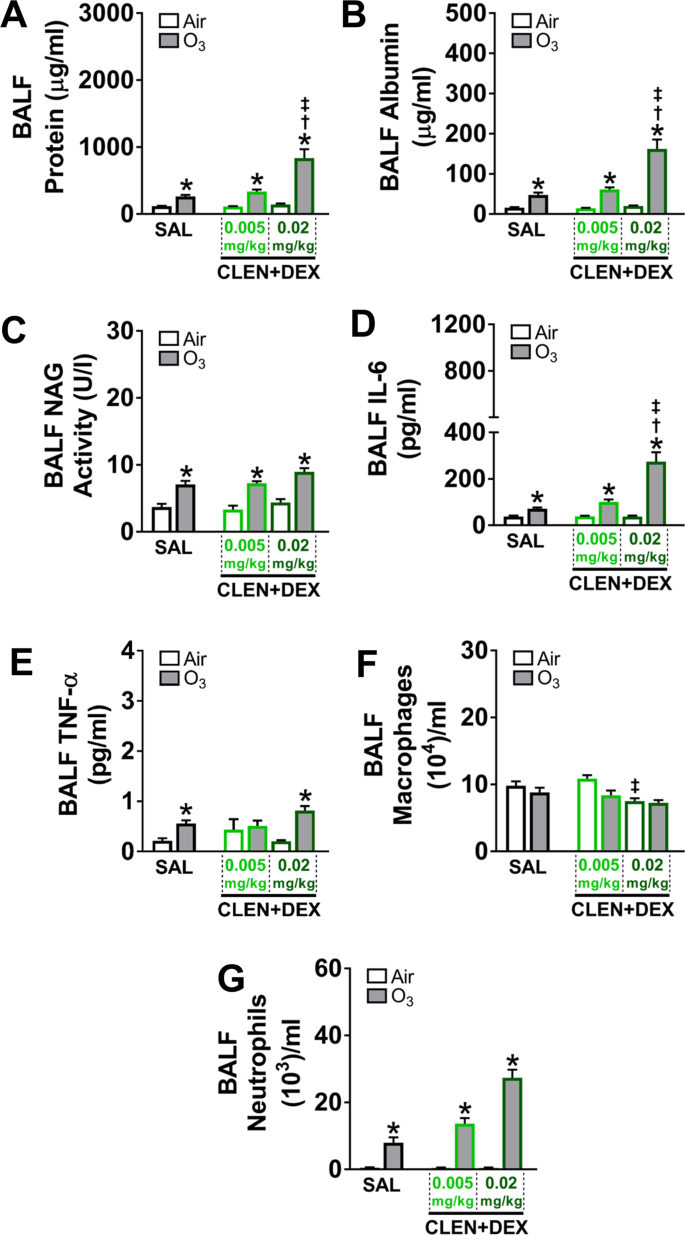 Exacerbation Of Ozone Induced Pulmonary And Systemic Effects By B 2 Adrenergic And Or Glucocorticoid Receptor Agonist S Scientific Reports