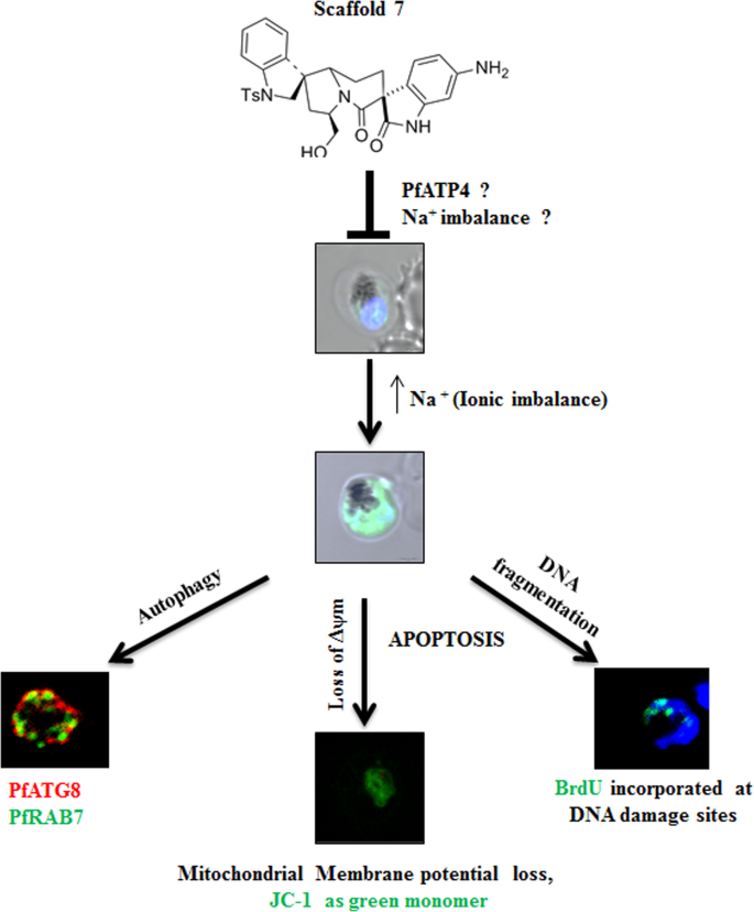 figure 9