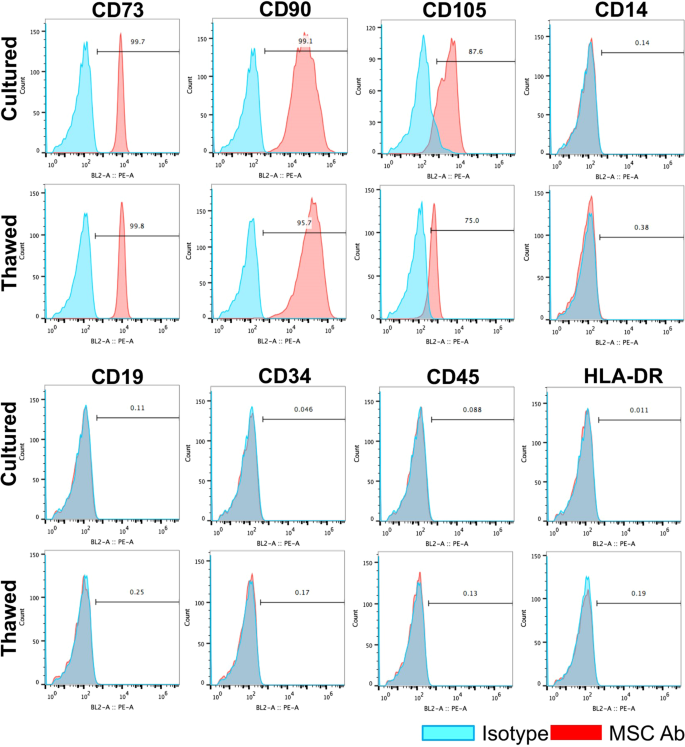 Thawed Mesenchymal Stem Cell Product Shows Comparable Immunomodulatory  Potency to Cultured Cells In Vitro and in Polymicrobial Septic Animals |  Scientific Reports