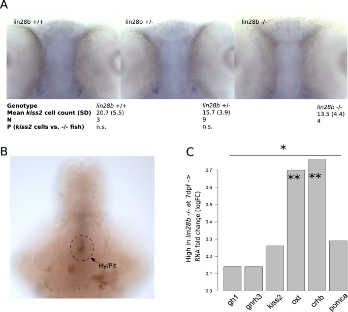 figure2