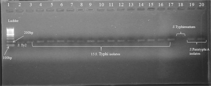 figure1