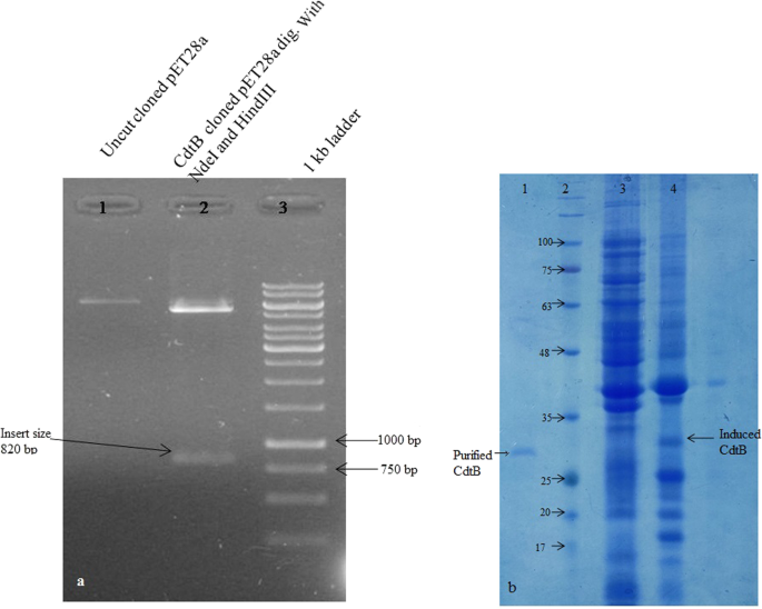 figure2