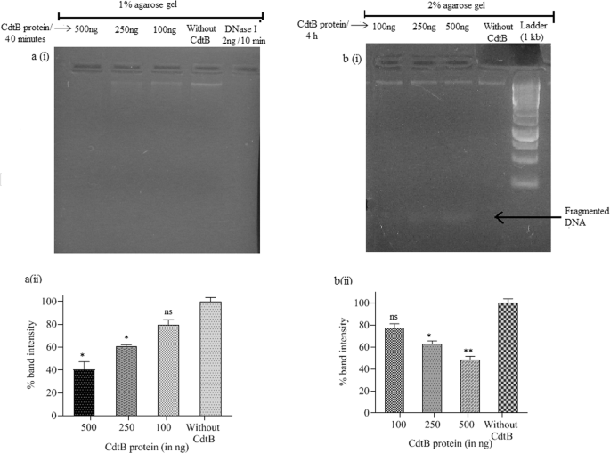 figure3