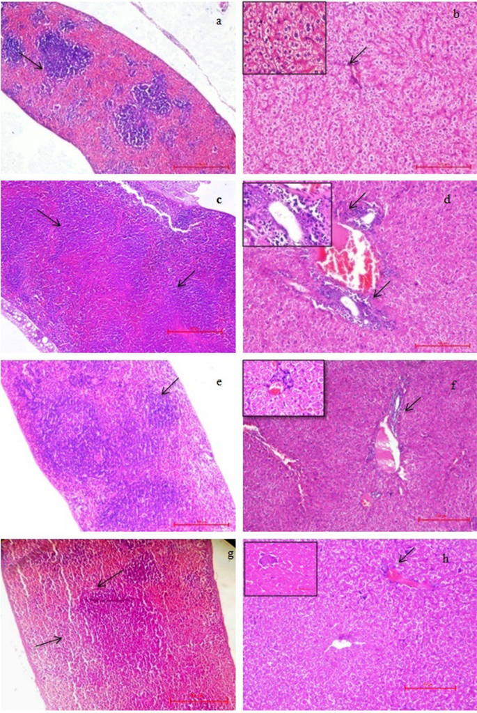 figure7