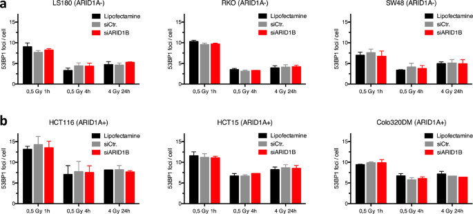 arid1a mutant colorectal cancer