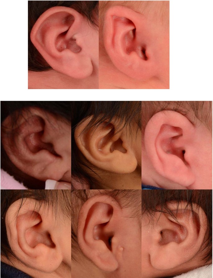 30 40 ears models pics