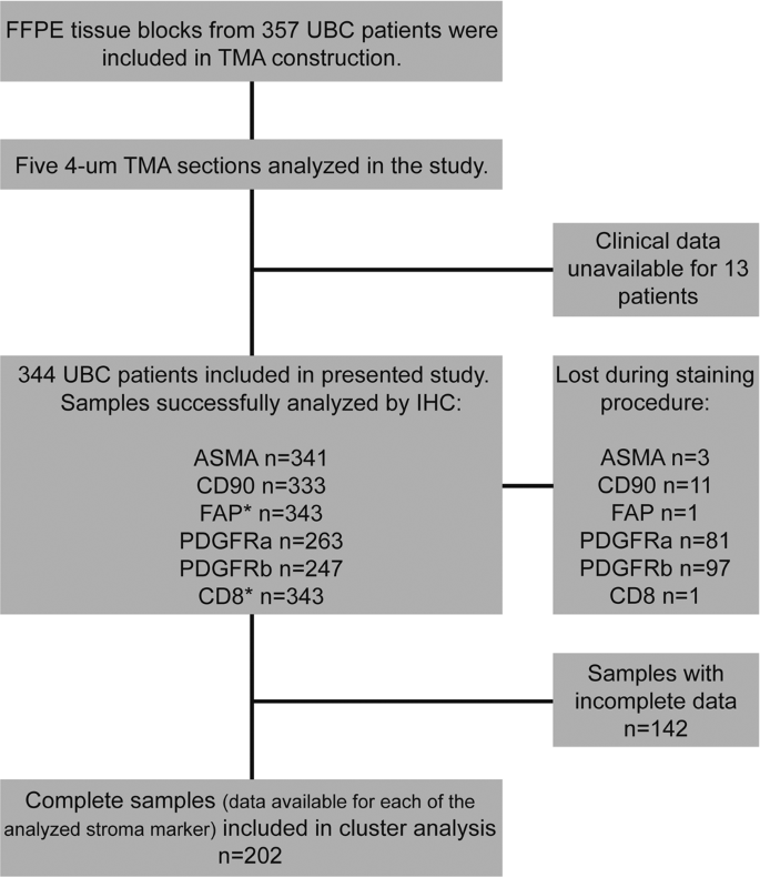 Fibroblasts In Urothelial Bladder Cancer Define Stroma Phenotypes That Are Associated With Clinical Outcome Scientific Reports