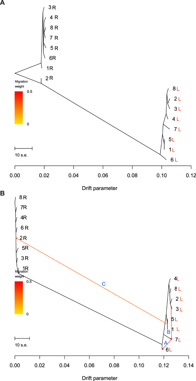 A Biogeographic Barrier Test Reveals a Strong Genetic Structure for a  Canopy-Emergent Amazon Tree Species | Scientific Reports