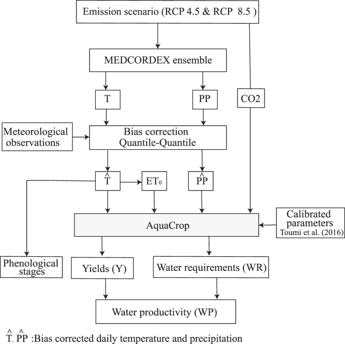 Assessing The Impact Of Global Climate Changes On Irrigated Wheat Yields And Water Requirements In A Semi Arid Environment Of Morocco Scientific Reports Assessing The Impact Of Global Climate Changes On Irrigated Wheat Yields And Water Requirements In A Semi Arid Environment Of Morocco Scientific Reports