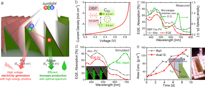 Multi Bandgap Solar Energy Conversion Via Combination Of Microalgal Photosynthesis And Spectrally Selective Photovoltaic Cell Scientific Reports