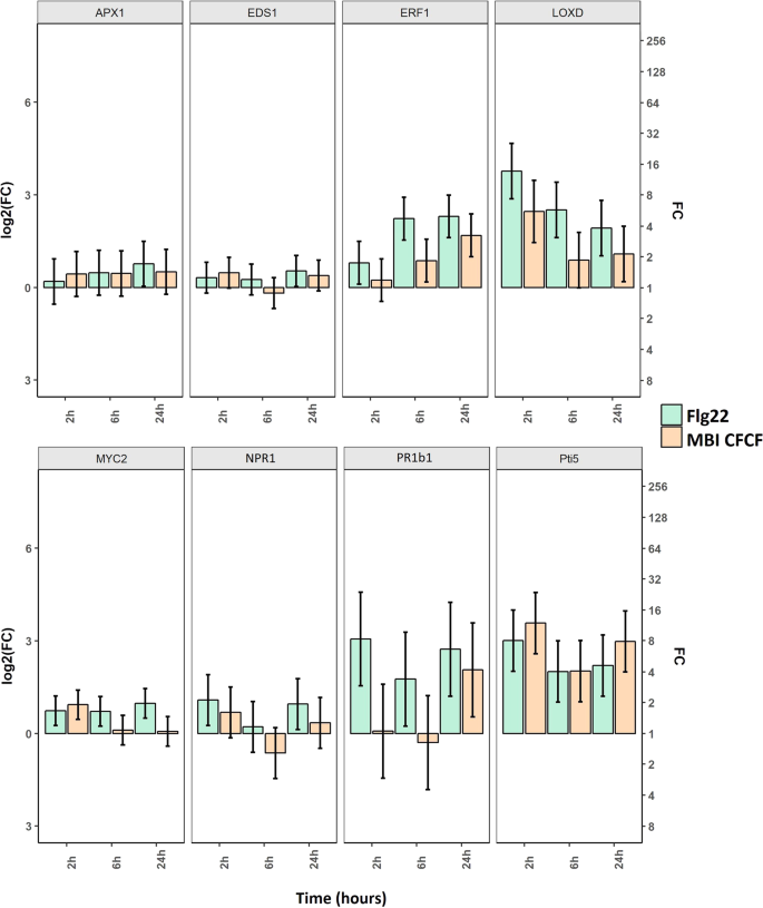 Bacillus Amyloliquefaciens Mbi600 Differentially Induces Tomato Defense Signaling Pathways Depending On Plant Part And Dose Of Application Scientific Reports