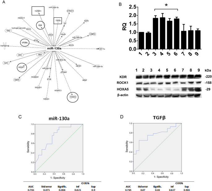 miR-130a and Tgfβ Content in Extracellular Vesicles Derived from