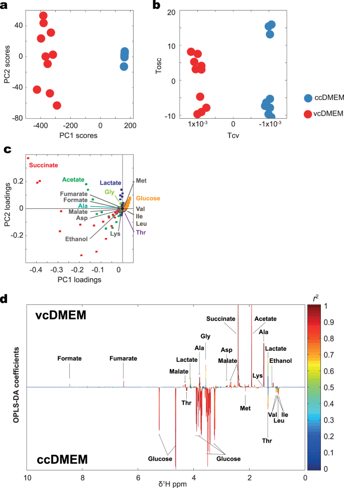 In Vitro Metabolomic Footprint Of The Echinococcus Multilocularis Metacestode Scientific Reports