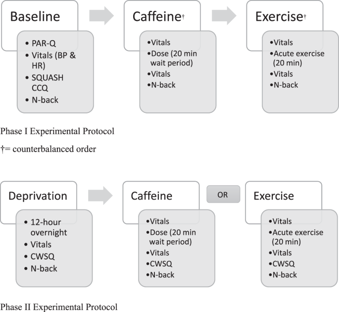 Effects Of Caffeine And Acute Aerobic Exercise On Working Memory And Caffeine Withdrawal Scientific Reports,Puto Flan Recipe