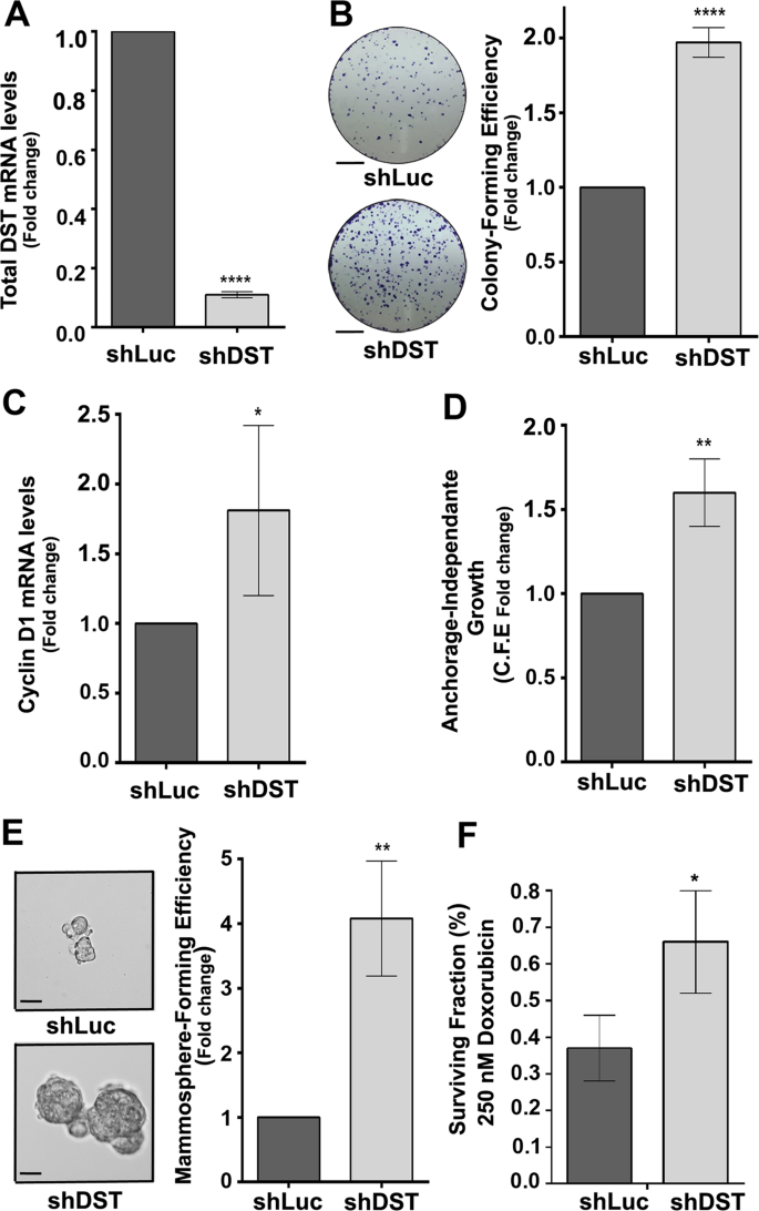 figure2