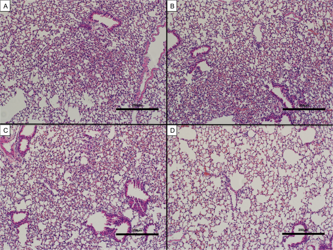 figure6