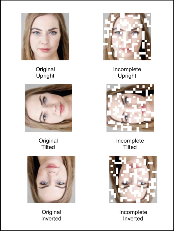 Humans Judge Faces In Incomplete Photographs As Physically More Attractive Scientific Reports