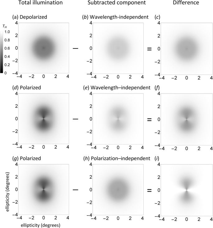 Polarization Perception In Humans On The Origin Of And Relationship Between Maxwell S Spot And Haidinger S Brushes Scientific Reports