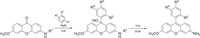 scheme 3