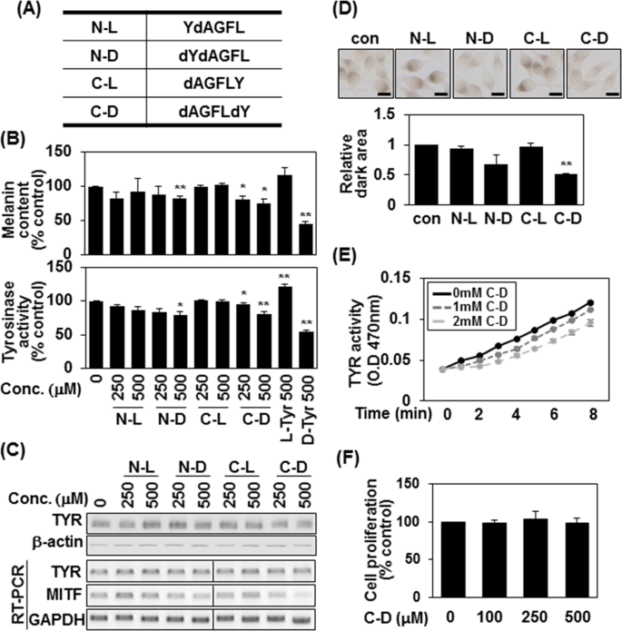 D Tyrosine Adds An Anti Melanogenic Effect To Cosmetic Peptides Scientific Reports