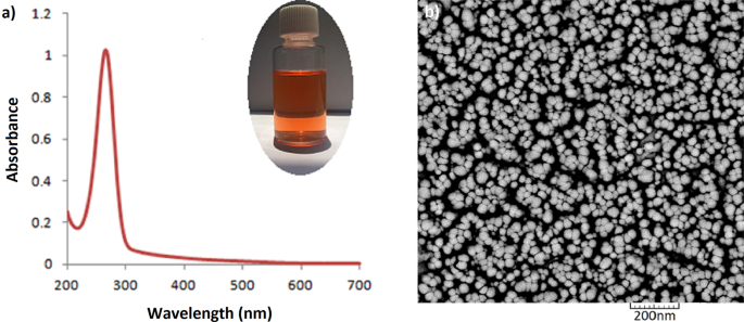 research paper nanoparticles figure 1