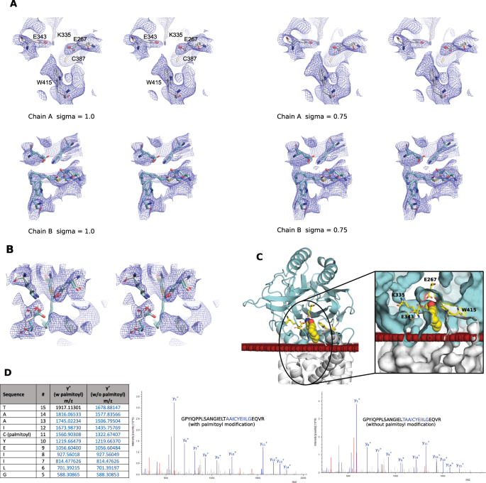 Conformational Changes In Apolipoprotein N Acyltransferase Lnt Scientific Reports Conformational Changes In Apolipoprotein N Acyltransferase Lnt Scientific Reports