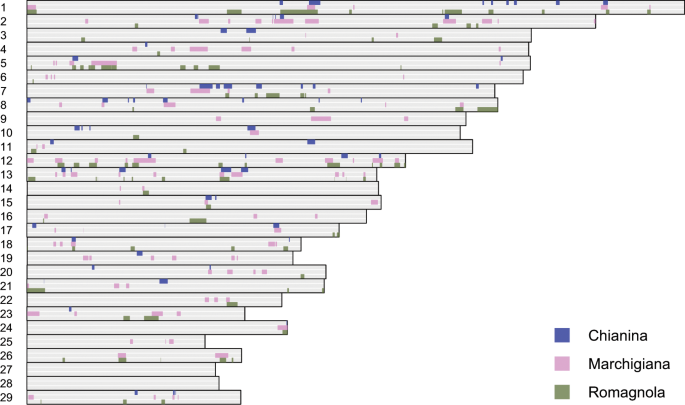 introgression indicine cattle into cattle breeds from Central Italy | Scientific Reports